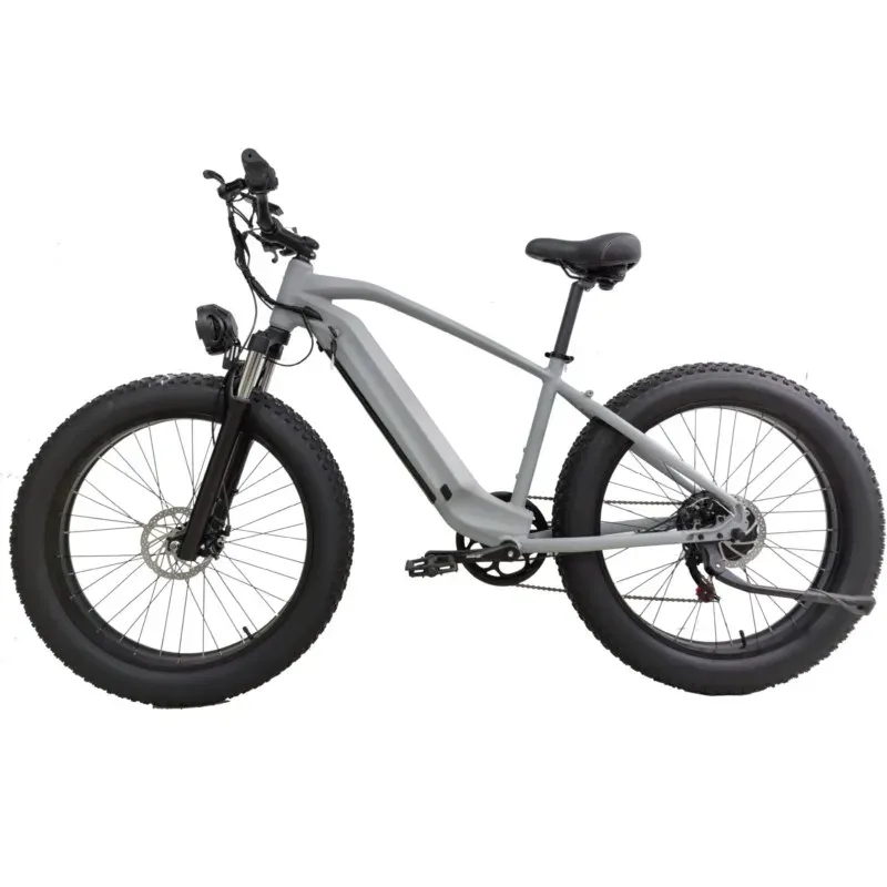 Bicycle 26 pouces Gat Tire Vaxe variable 1000 W Highpower E Mountain Dirt Bike
