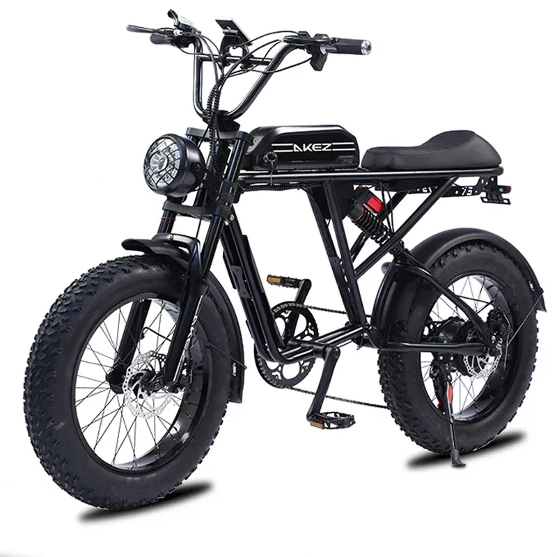 Bicycle 20 Inch Retro Two Wheel Electric Bike Soft Tail Double Snow Absorber Electric Bike On Thick Tires 26AH48v1500w Ebike