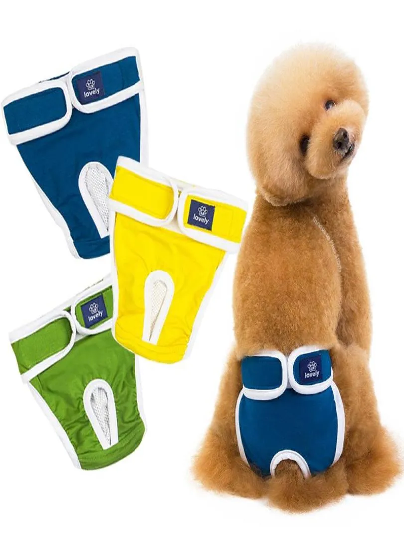 Pantalons physiologiques de vêtements pour chiens Pantalons physiologiques lavables Souvroit femelle Soft Girl Dogs Petwear Sanitary Pantesdog3615344