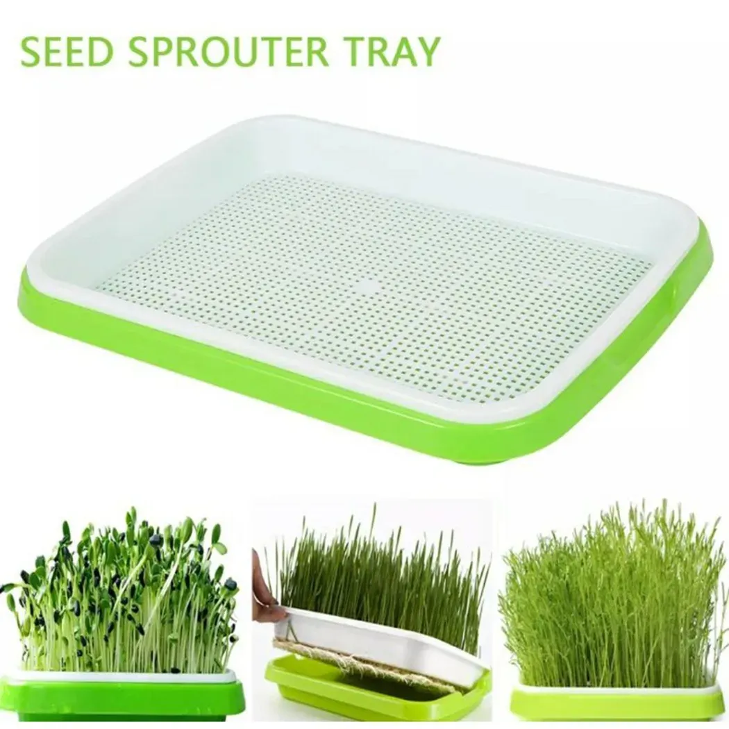 Locks Microgreens Sprouter Tray Hydroponic / Sprout Tray för Sprout Horticultural Hydroponic Systems Tray Garden Nursery Potted