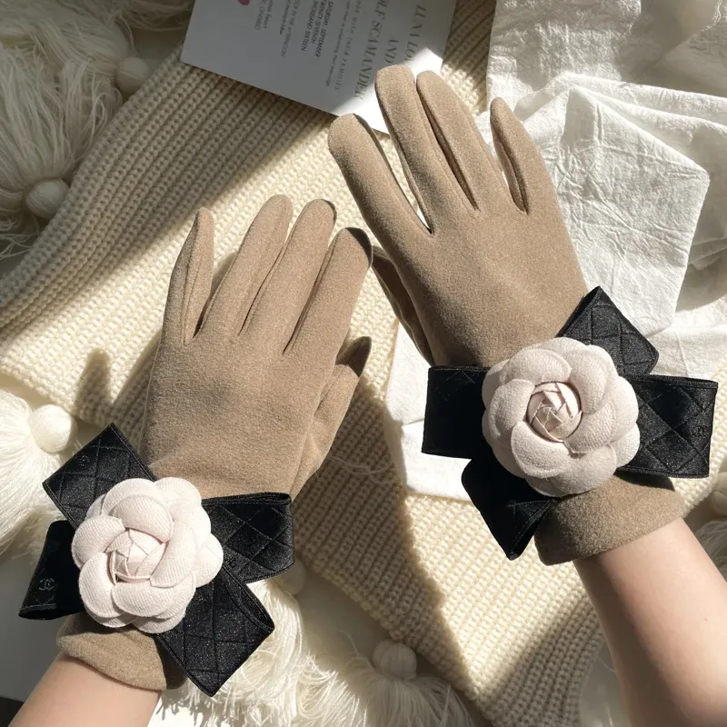 Korean Ladies Winter Gloves Fashion Cute Touch Screen Five Finger Cashmere Warm Women Gloves