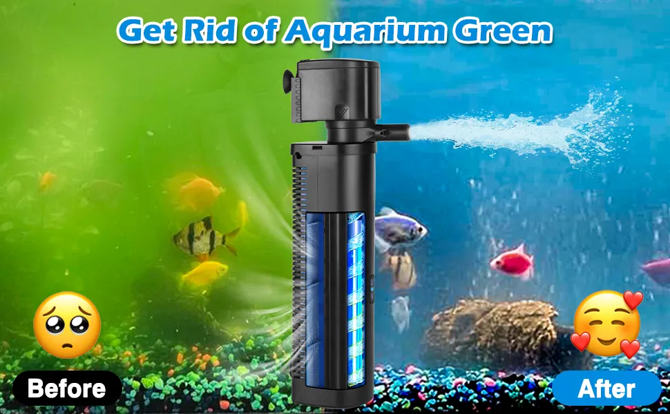 Aquarium Filter for Coldwater Tanks: Ultimate Guide to Clean Water