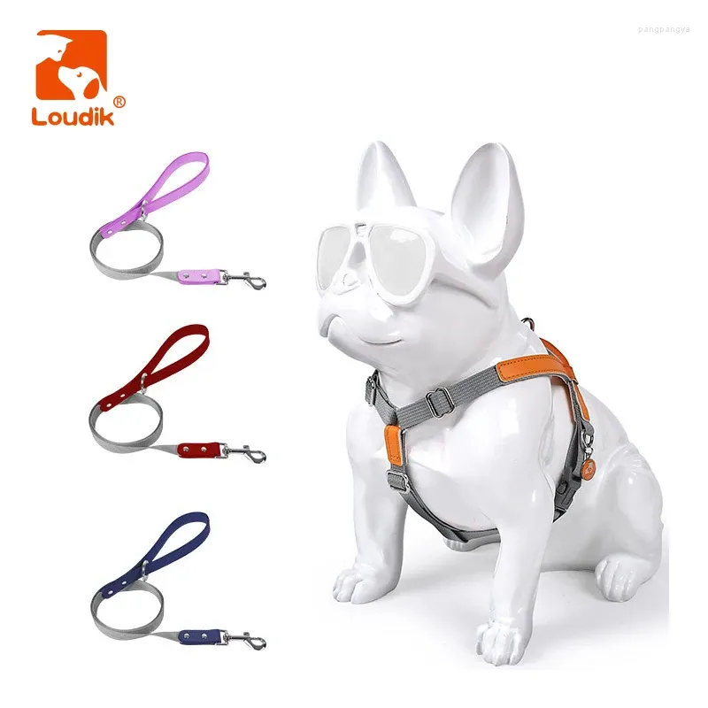 Hundhalsar Loudik Portable Big Harness and Leash Set Justerbart läder Made Webbing Small Medium Large Traction Pet Leads Tillbehör