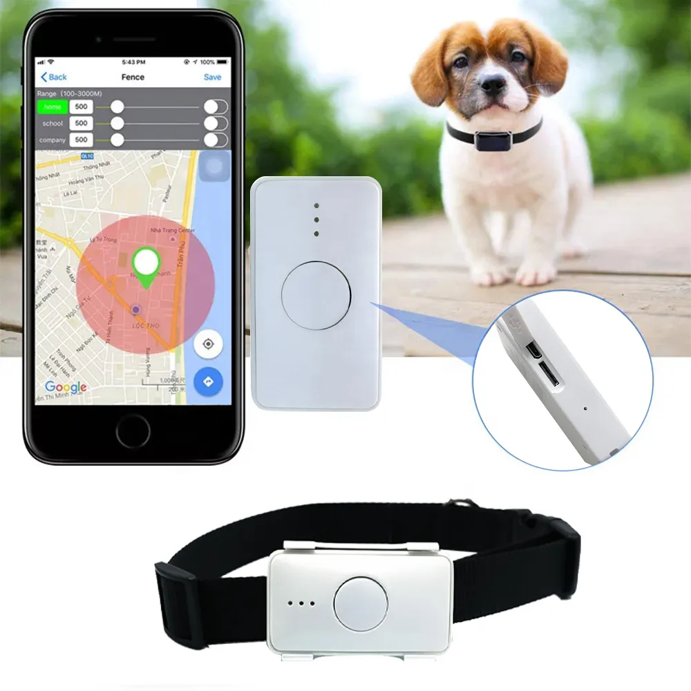 4G Global Pet GPS Locator: Waterproof, Real-Time Tracking Device - Shop ... - Pet Gps Location Device