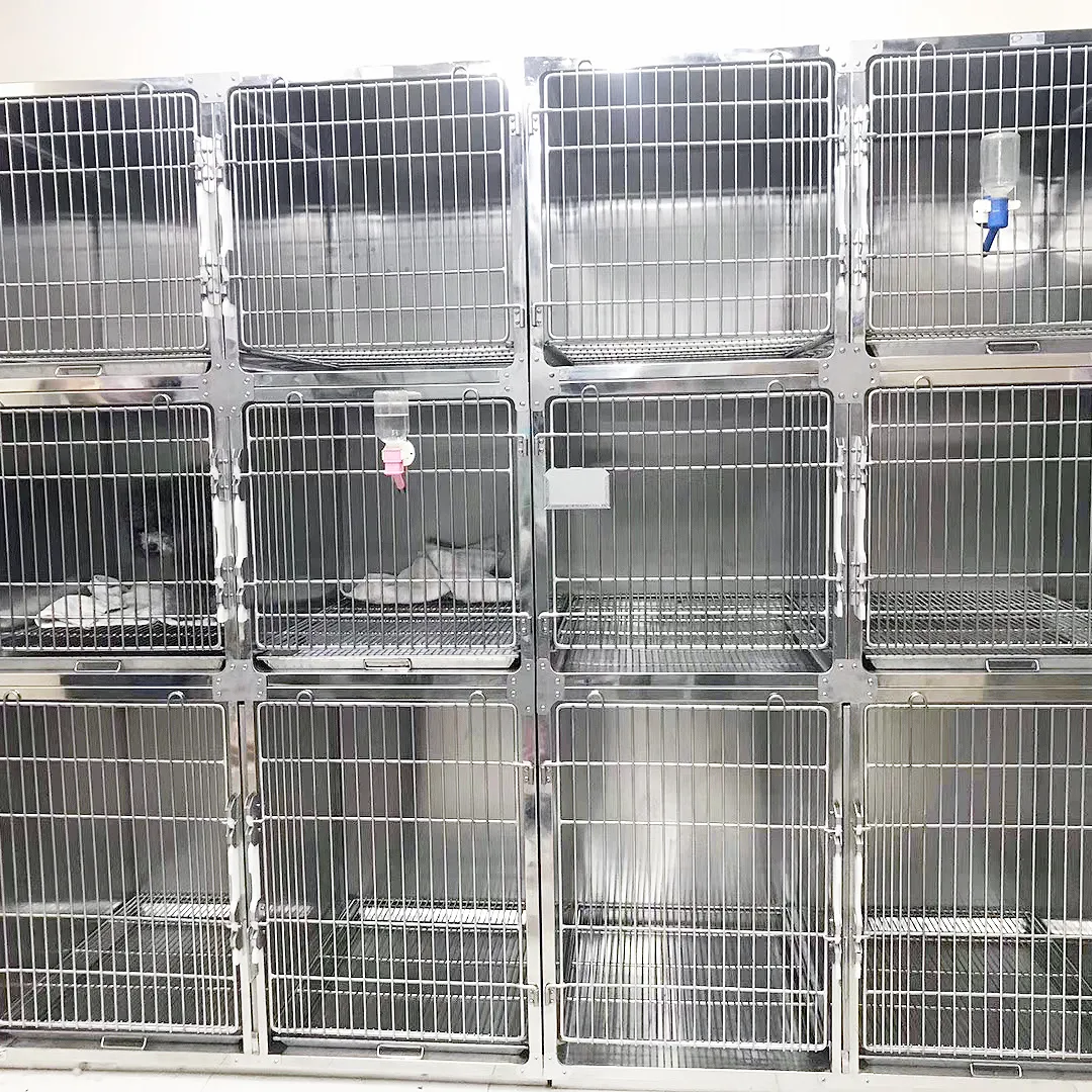 12-Door Stainless Steel Dog Cages: Veterinary Clinic & Hospital Grade ...