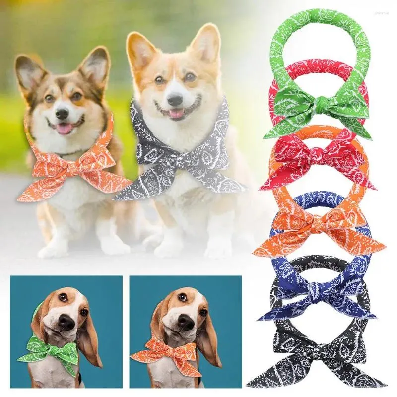 Appareils pour chiens Summer Filage de refroidissement glace Écharpe fraîche serviette thermique chiens collier ajusté Bib Cats Supplies CA V7K7