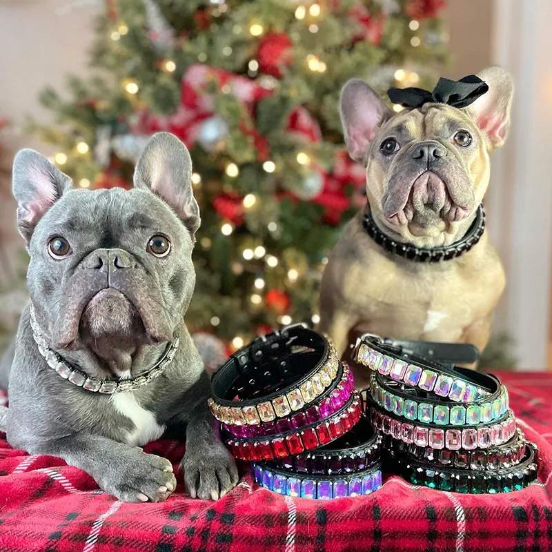 Collier de chien en cuir en cuir doux étincelant en cuir souple