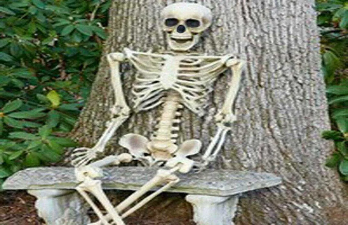Halloween fogade skelettben poserbara full livsstorlek mänskliga skelett prop halloween evenemang party dekoration p08276545204