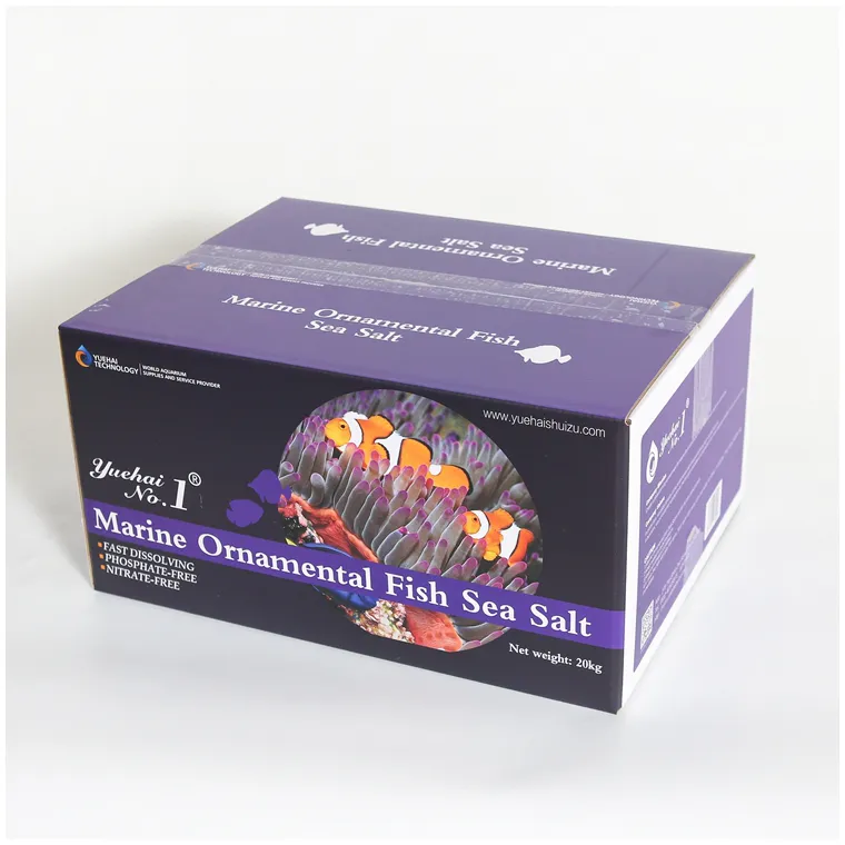Fresh Look at Aquariums Wholesale High End Marine Ornamental Fish Superior Quality