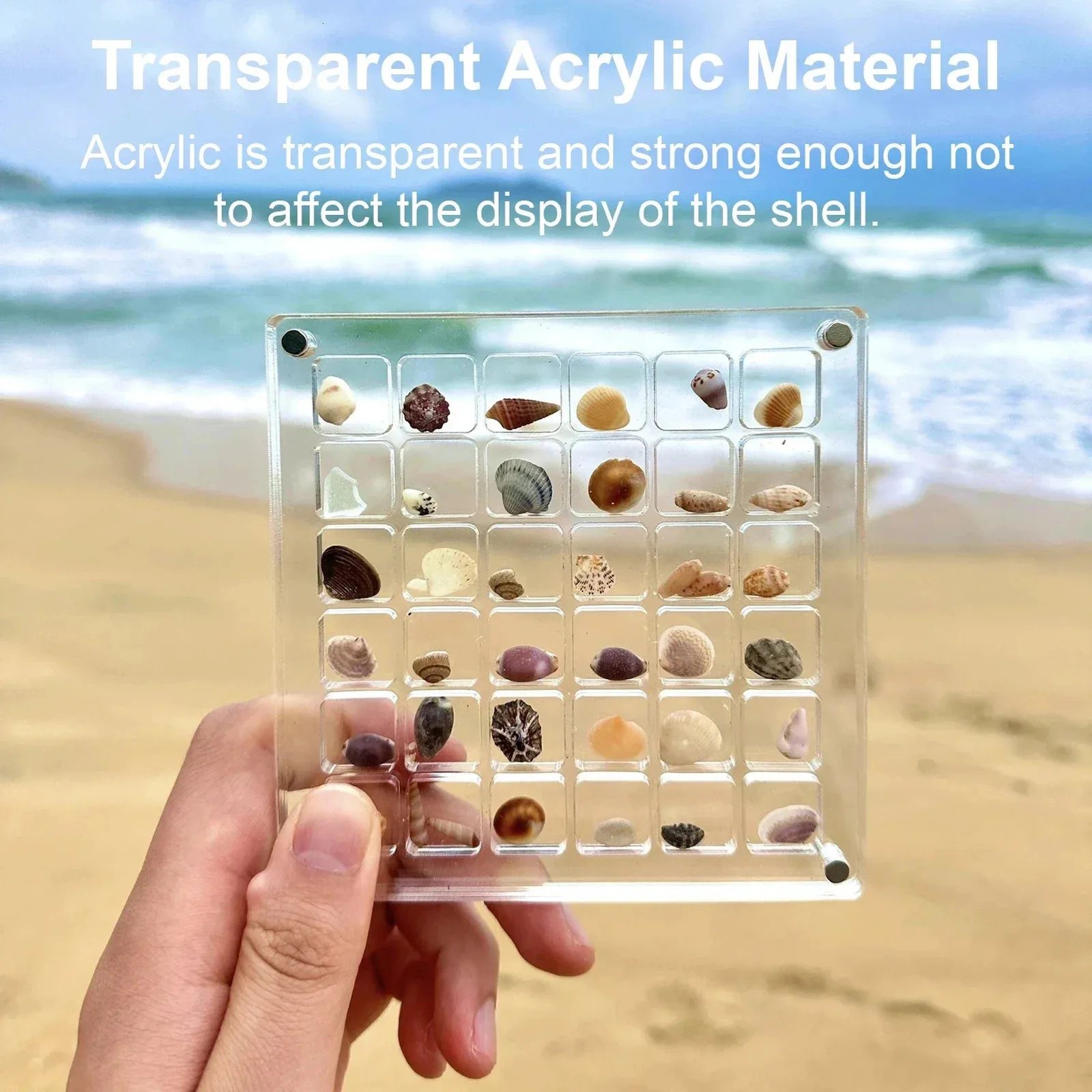 Akryl Magnetiska smycken Seashell Display Box Small Crafts Stone Nail Art Bead Charm Show Organizer Container Fall 240411