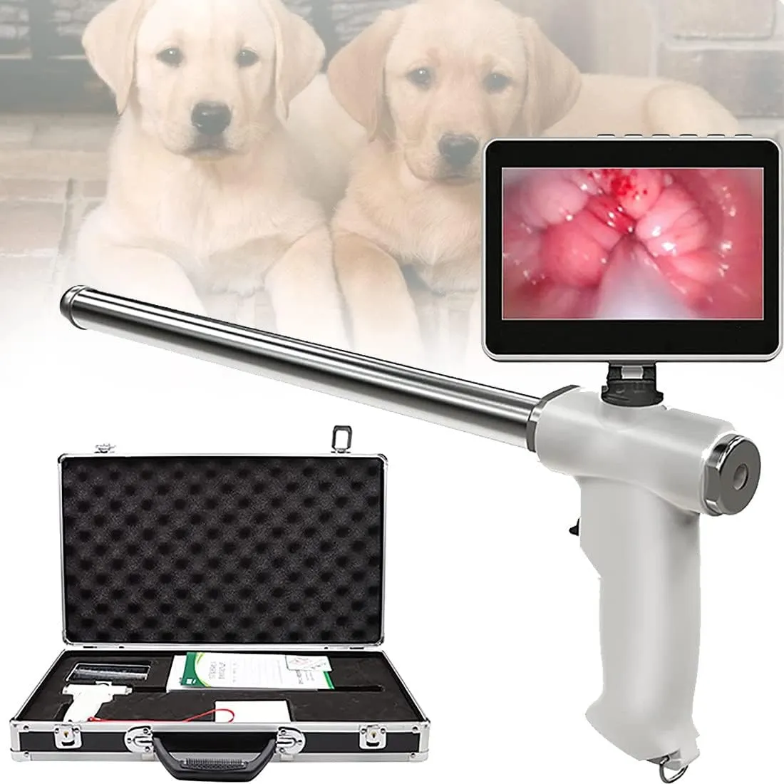 Canine Breeding Canine Ai Kit Professional Canine Insemination Kit