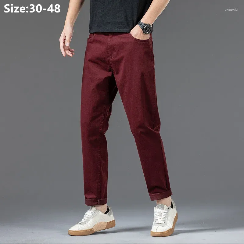 Men's Pants Cotton Men Plus Size 48 46 44 42 Elastic Wine Red Blue Black Casual Trousers Loose Stretched Chino Straight Male Clothing