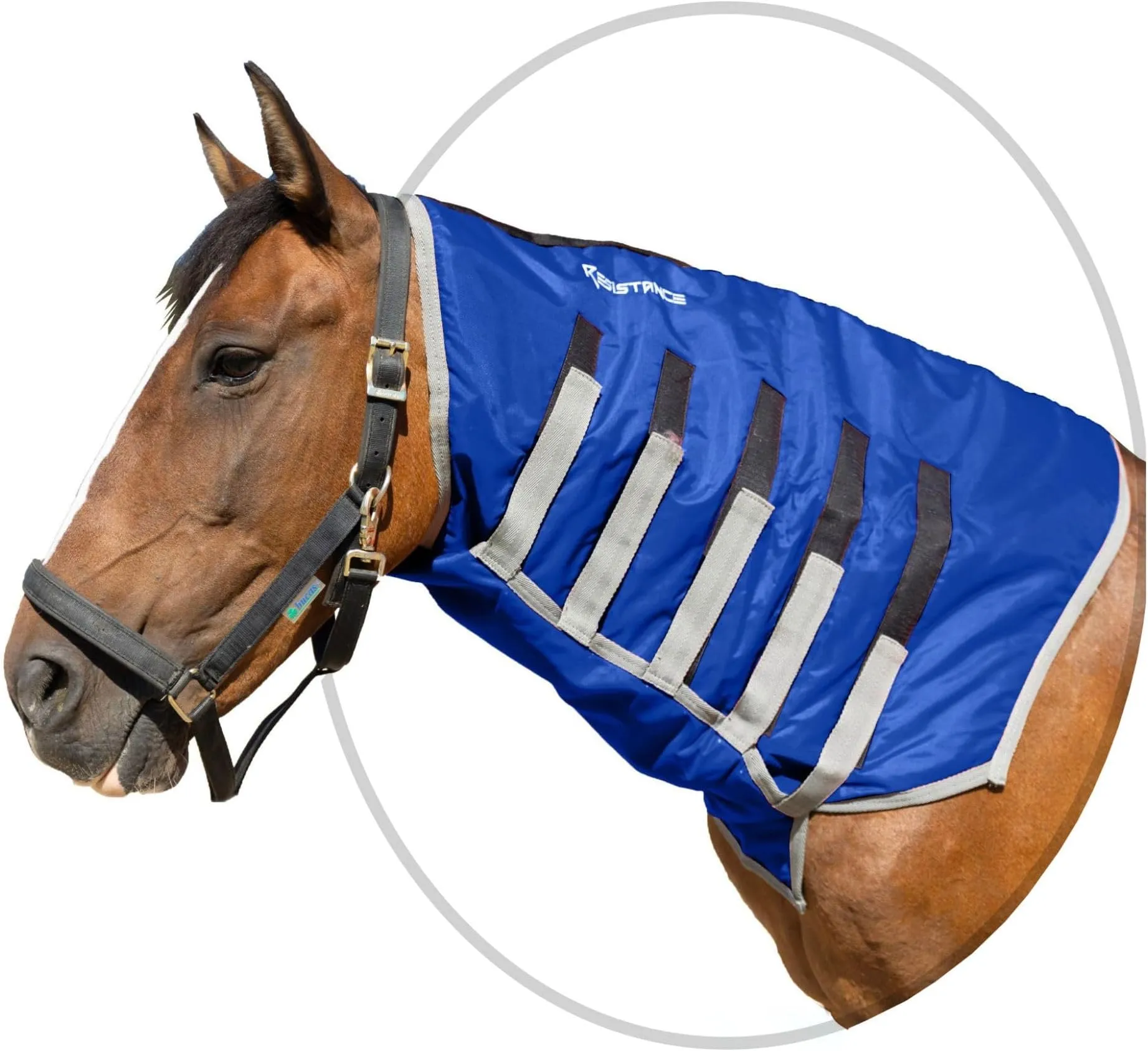 Horse Sleazy Slicker Neck Cover - Waterproof Headless Hood With 200gm Fill For Winter