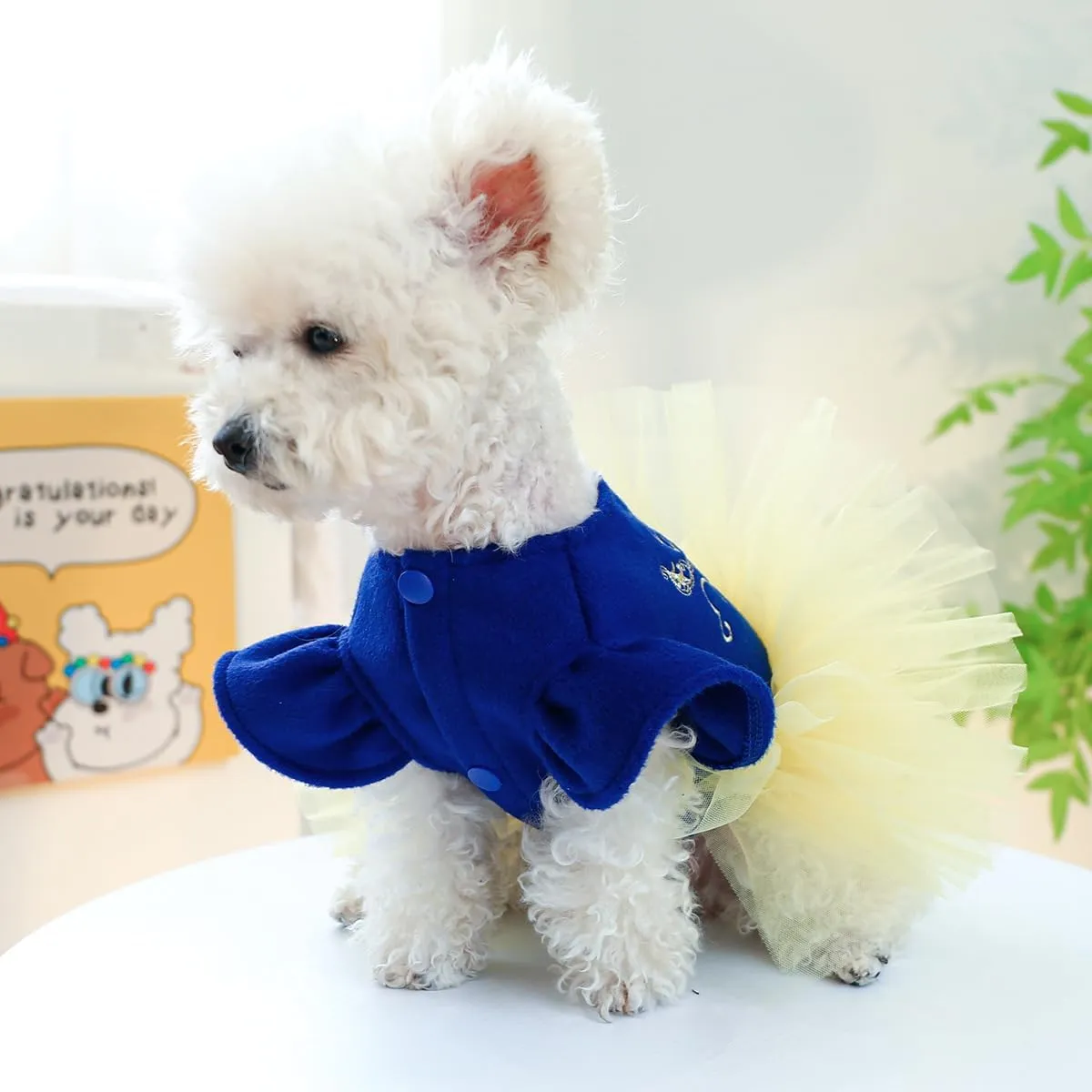 Cute Dog Dresses: Summer Apparel for Small Dogs & Puppies - Shop Now! from Dhgate Dog Dresses - price 19.11 Cute Dog Dresses: Summer Apparel for Small Dogs & Puppies - Shop Now! from Dhgate Dog Dresses - price 19.11