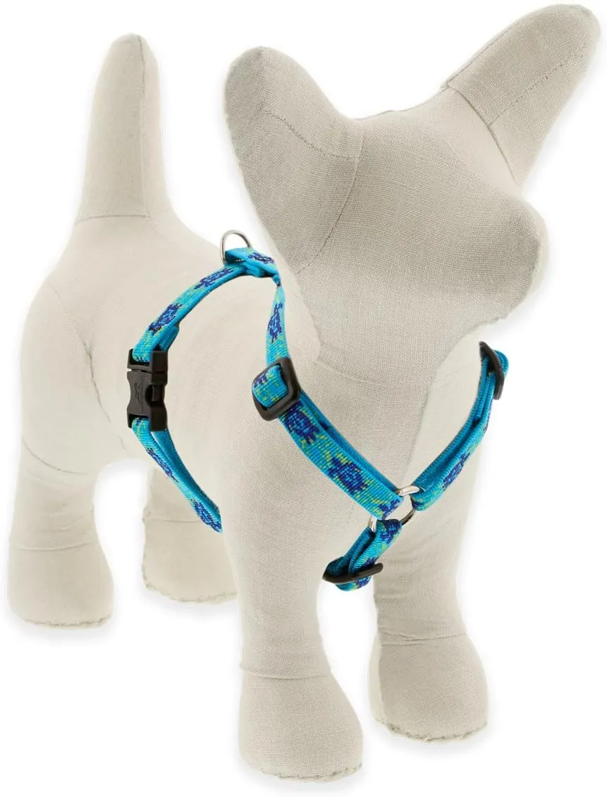 LupinePet Basics 1/2" Red 12-20" Adjustable Roman Dog Harness For Small Dogs : Pet Harnesses