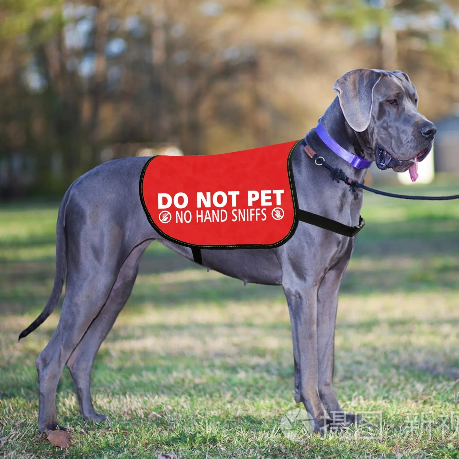 Do Not Approach Dog Vest Nervous Dog Lead Sleeve Cover Give Me