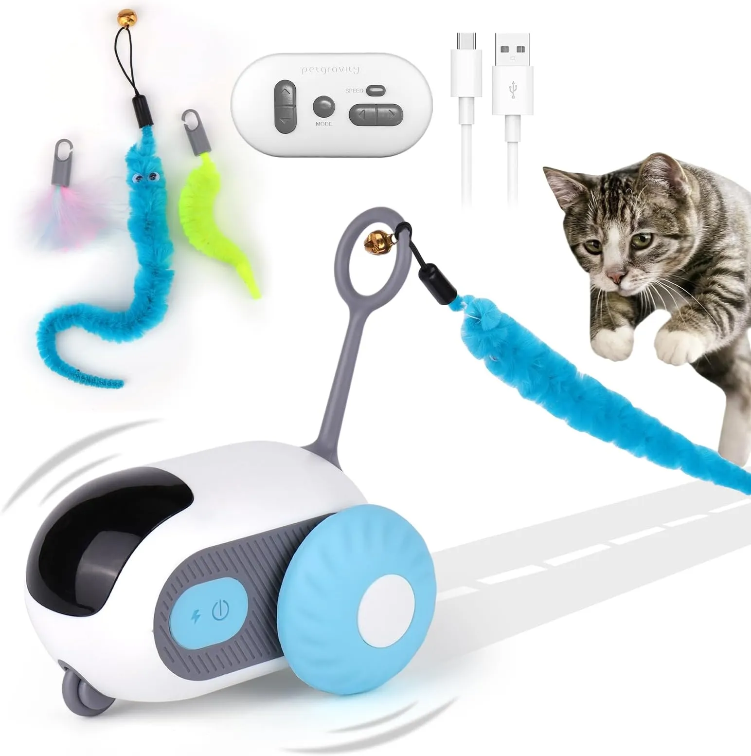 Feline Keeping Indoor Cats Entertained Feline Friend Keeping Your