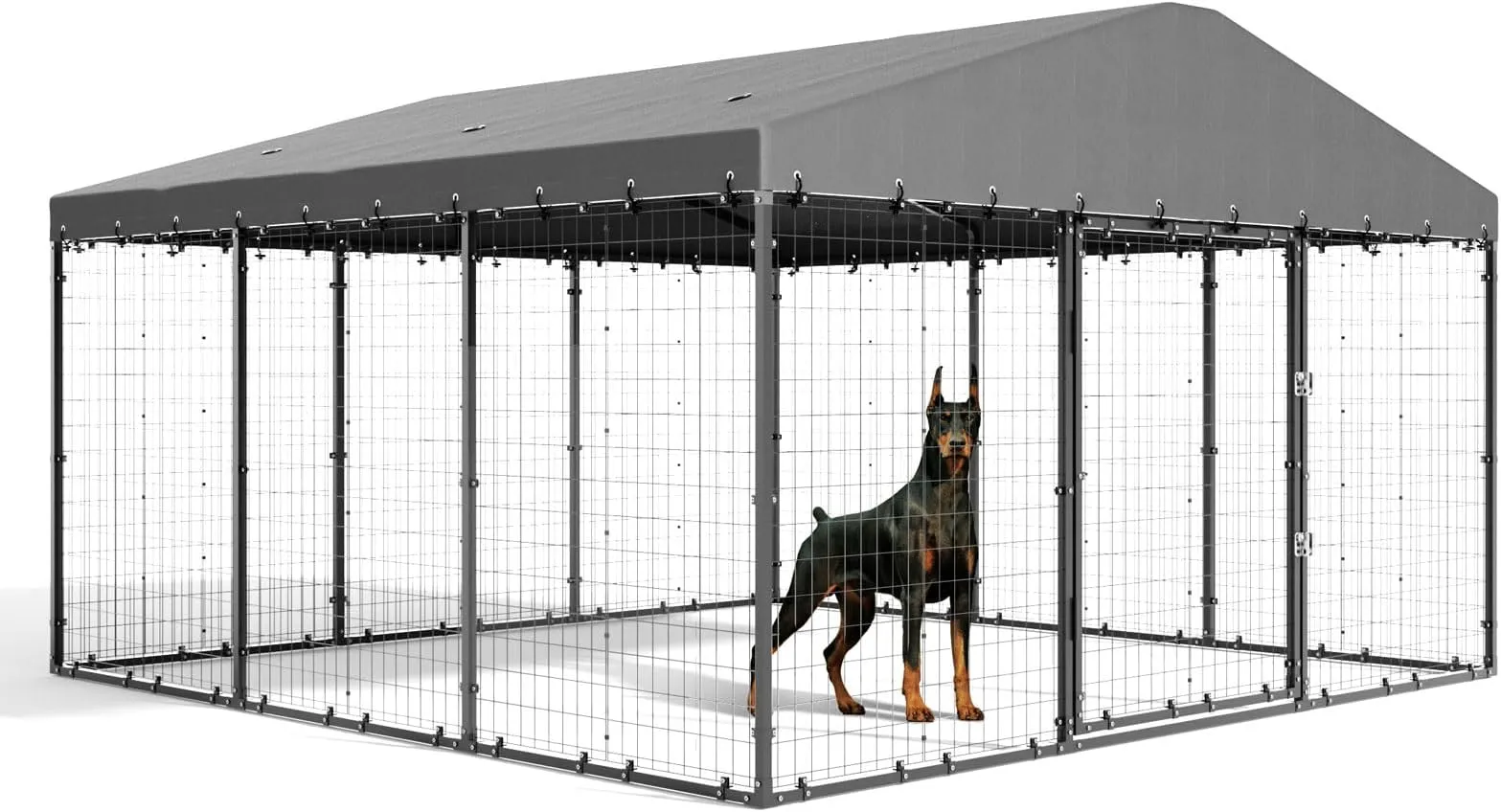 Dog Boarding Queen Mary Pets Large Outdoor Dog Kennel With