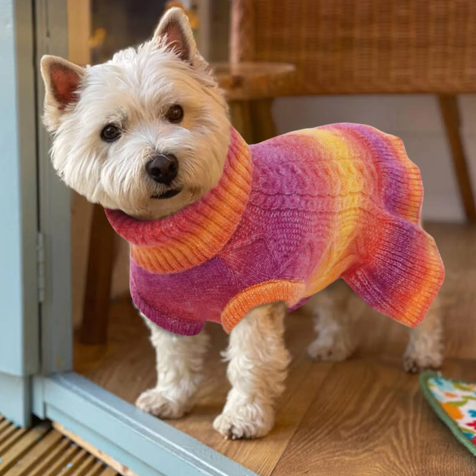 Fashion Apparel H And M Dog Sweater Dog Jumper Kuoser Dog Sweater, Dog  British Style Sweater