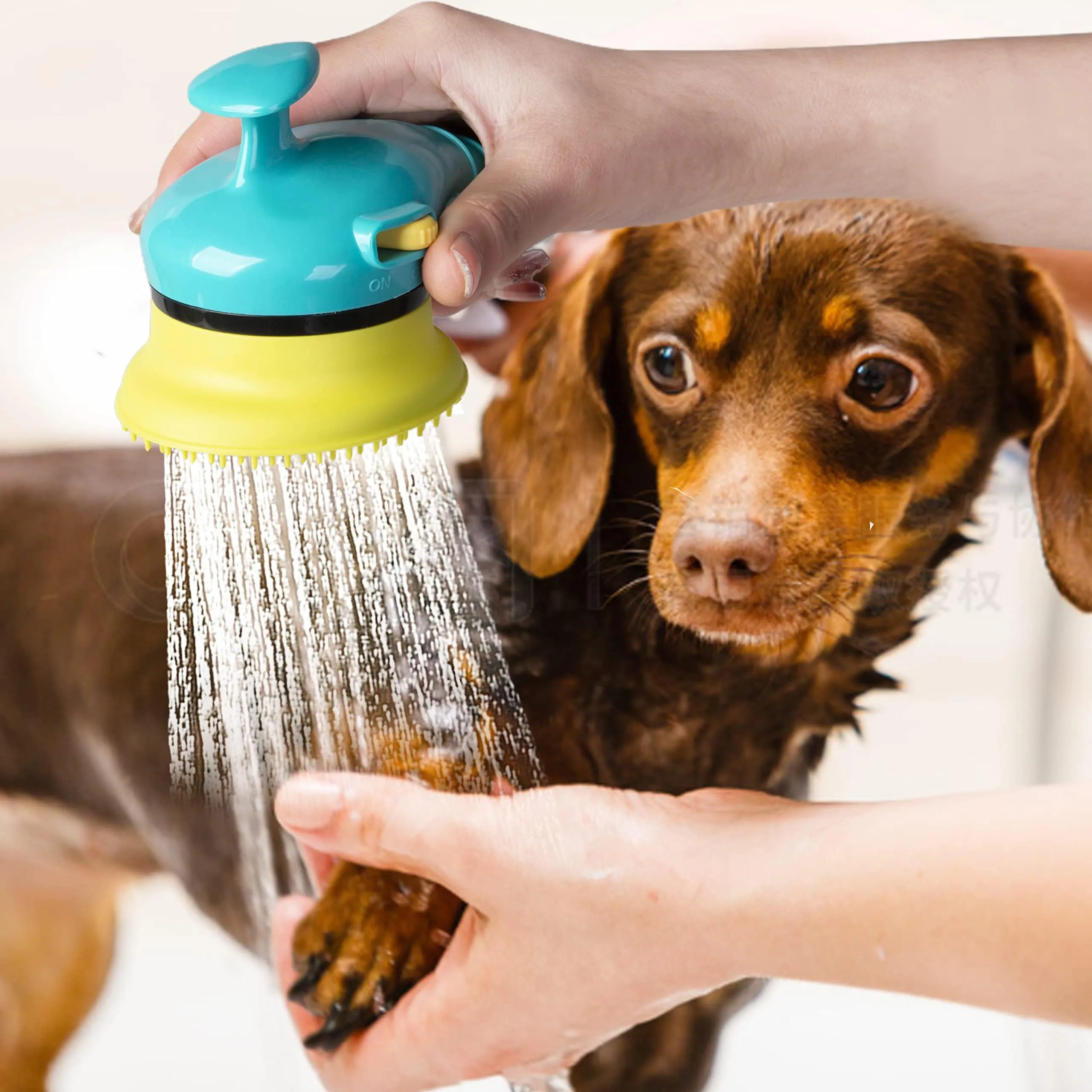 Dog Bath Shower Head Attachment: Easy Pet Washing with Massage! Shop Now!