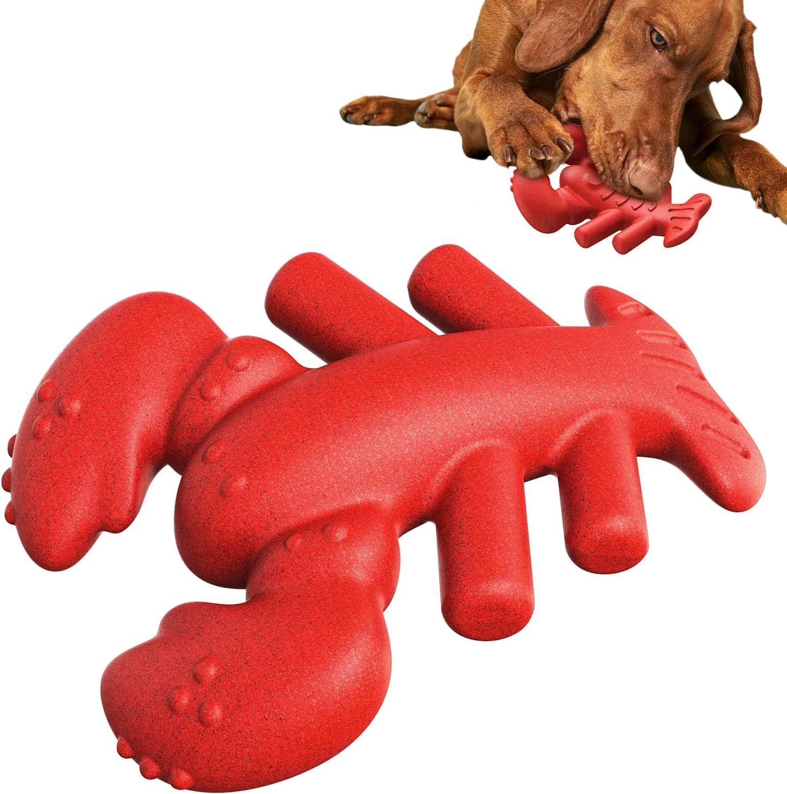 Durable Dog Chew Toy for Aggressive Chewers: Long Lasting Fun Teeth  Cleaning! Best Seller, Shop Now! - Main Image