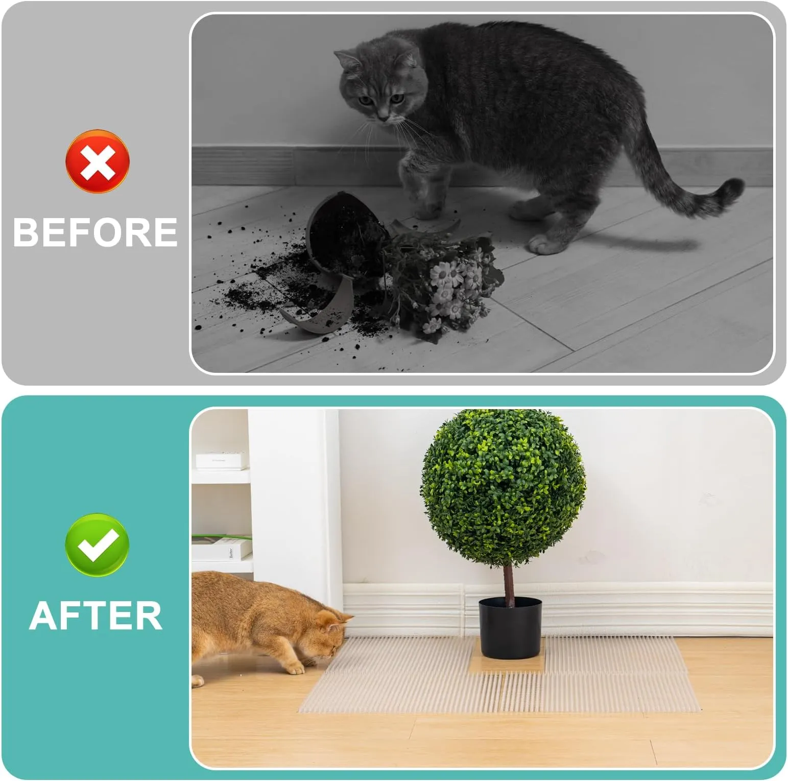 Cat Repellent How To Stop My Kitten From Jumping On The Counter