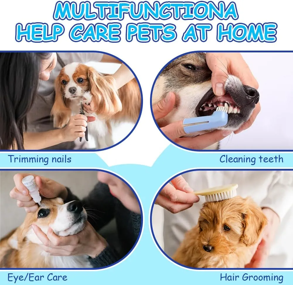 Grooming Tips Pet Grooming That Comes To Your House Ninja Home Pet