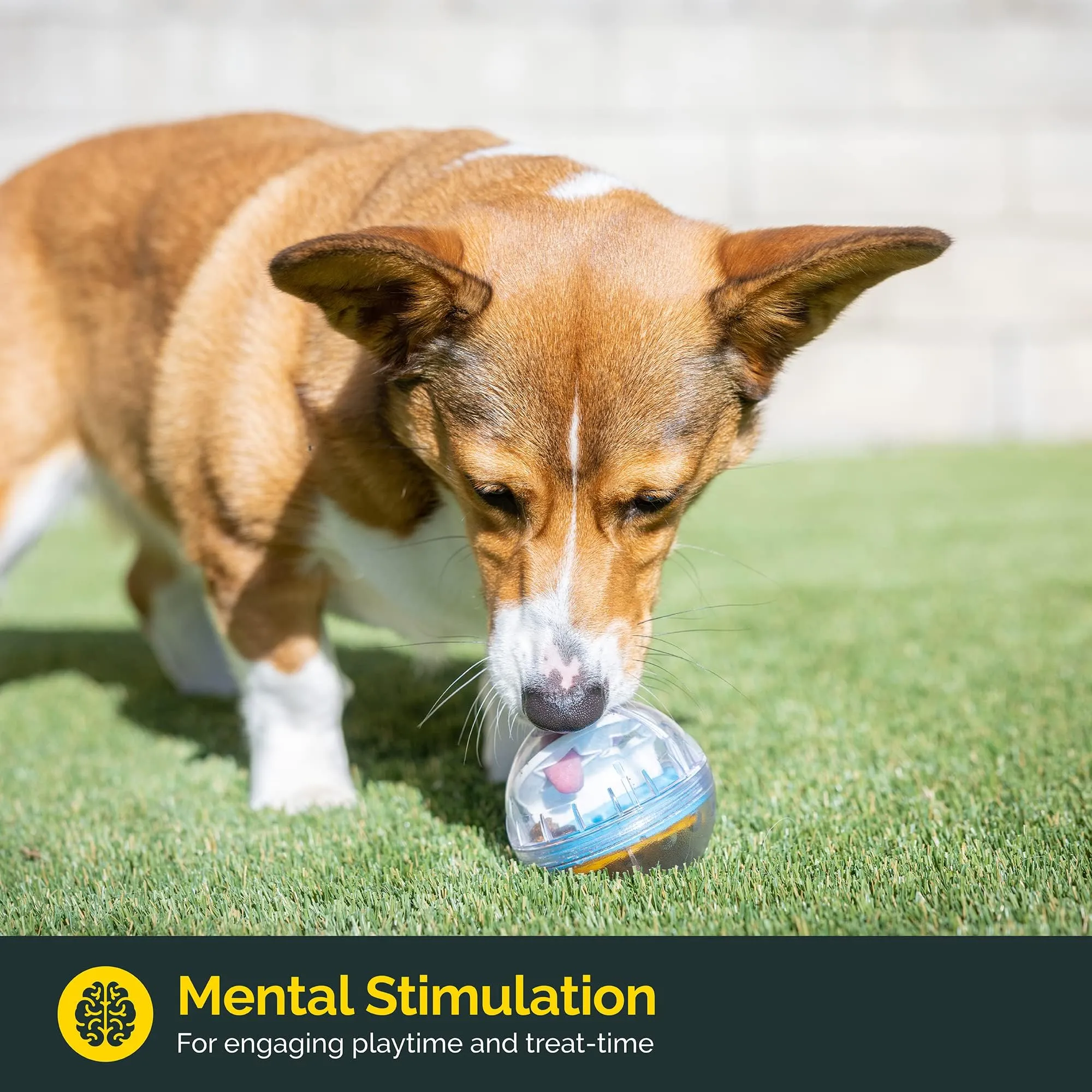 Mankoda Rolling Dog Toy – Treat Dispenser & Brain Game In One
