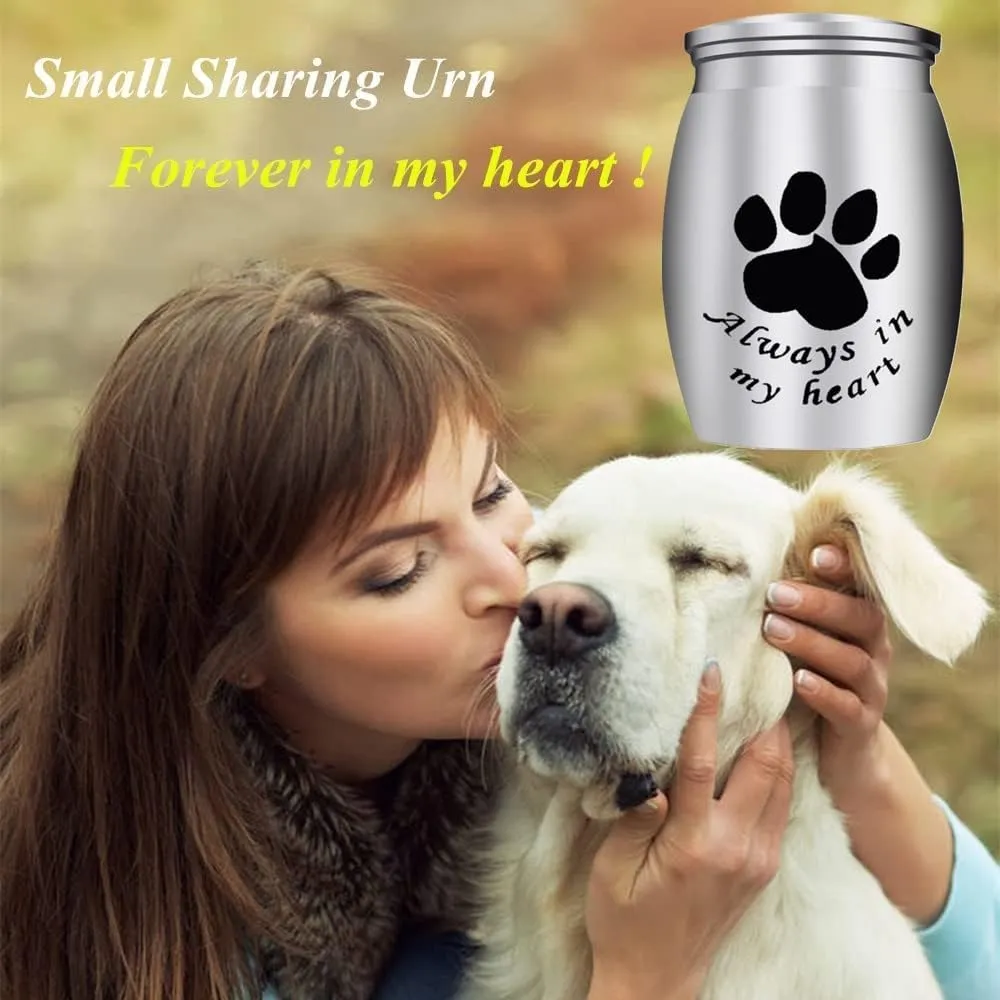 Dog Memorial Urn Dog Urns Ashes Stainless Steel Dog Urn Dog Urns Ashes Small EBa