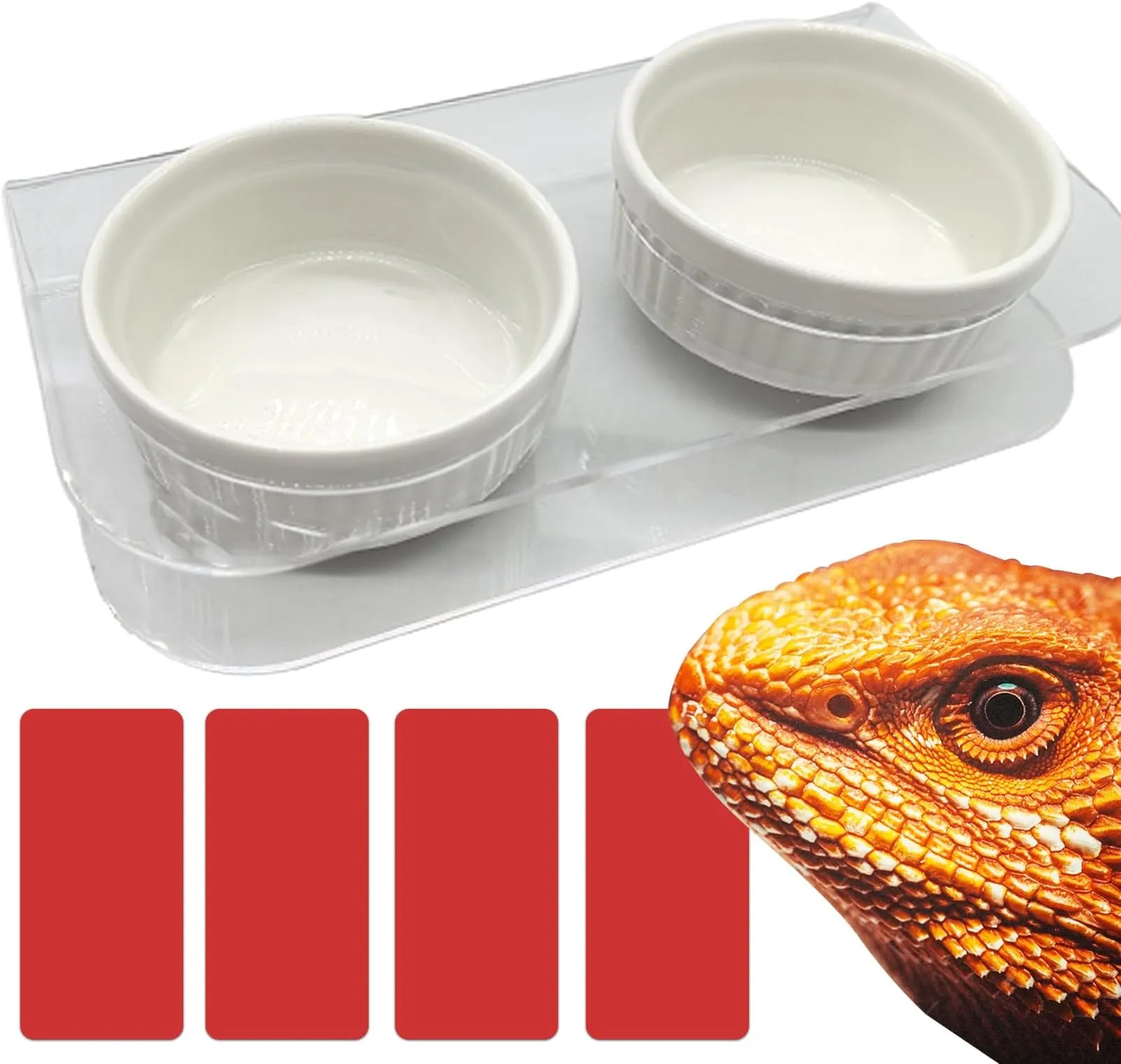 Reptile Food Water Dish Bowl Feeder With Suction Cups - For Gecko, Lizard, Amphibian