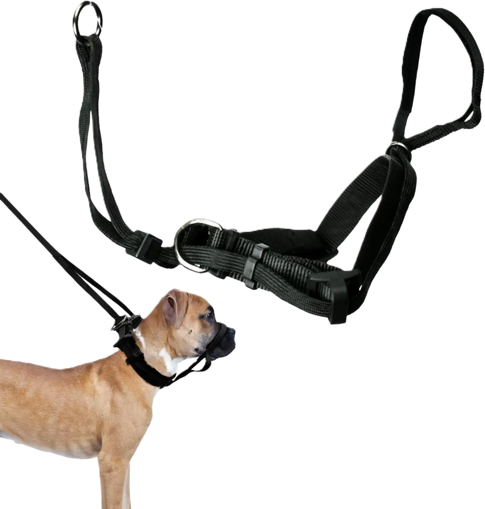 how to put a sporn harness on a dog