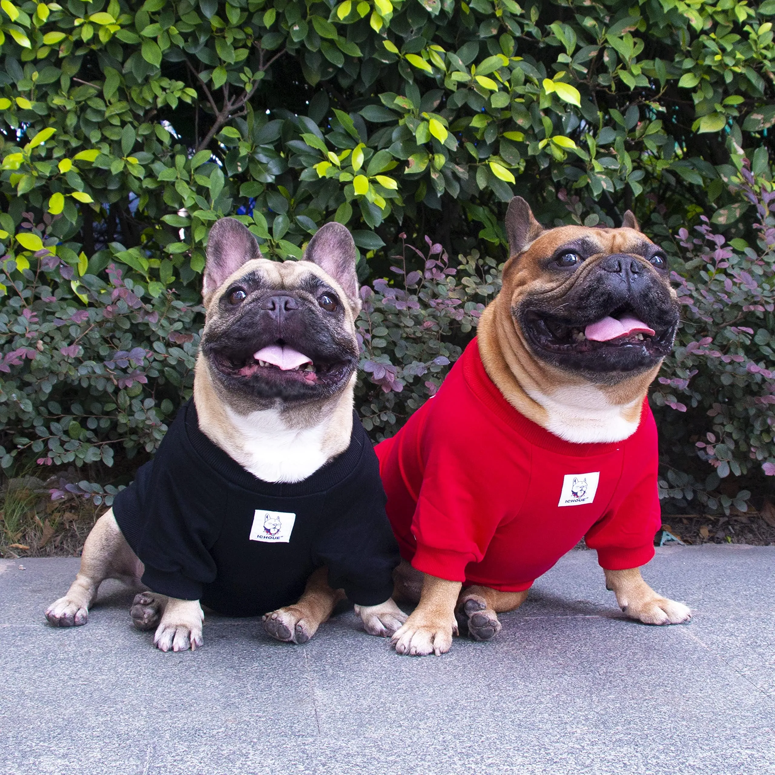 French Bulldog Boston Terrier Clothes Size IChoue French Bulldog
