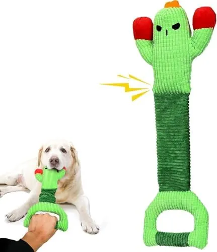Tough Cactus Dog Toy: Strong Chew Toys for Large Dogs, Durable and  Shop Now!