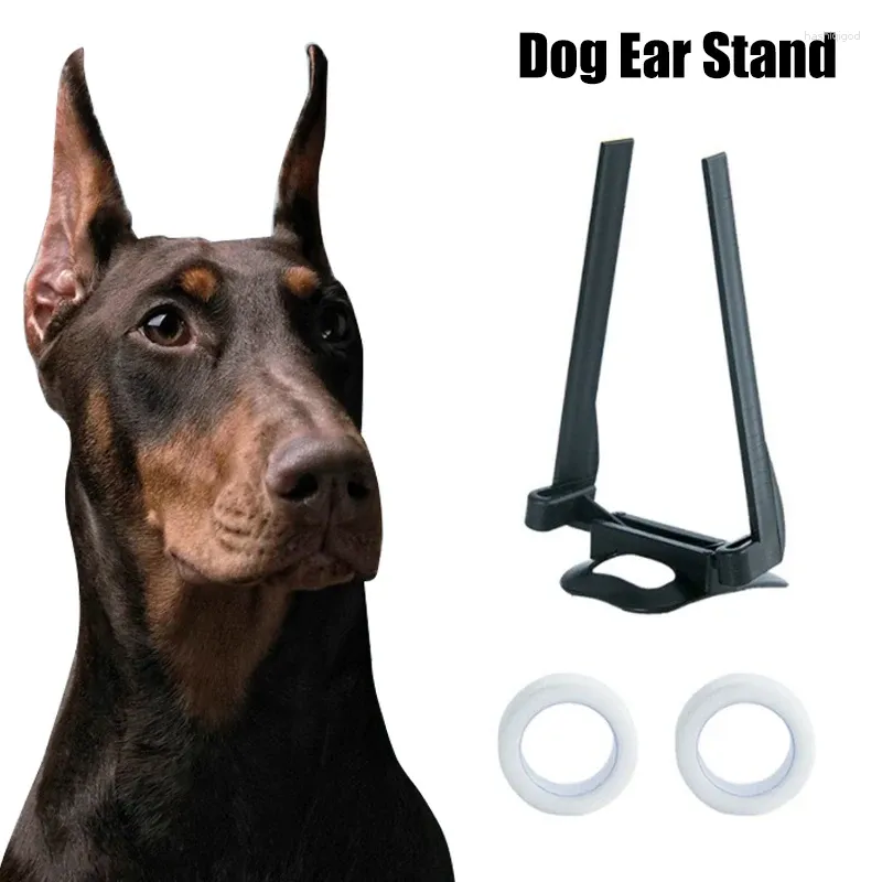 Dog Apparel Corrector Ear Stand Tool Samoyed Dane Pet Care Up 1pcs Supplies Doberman Great For