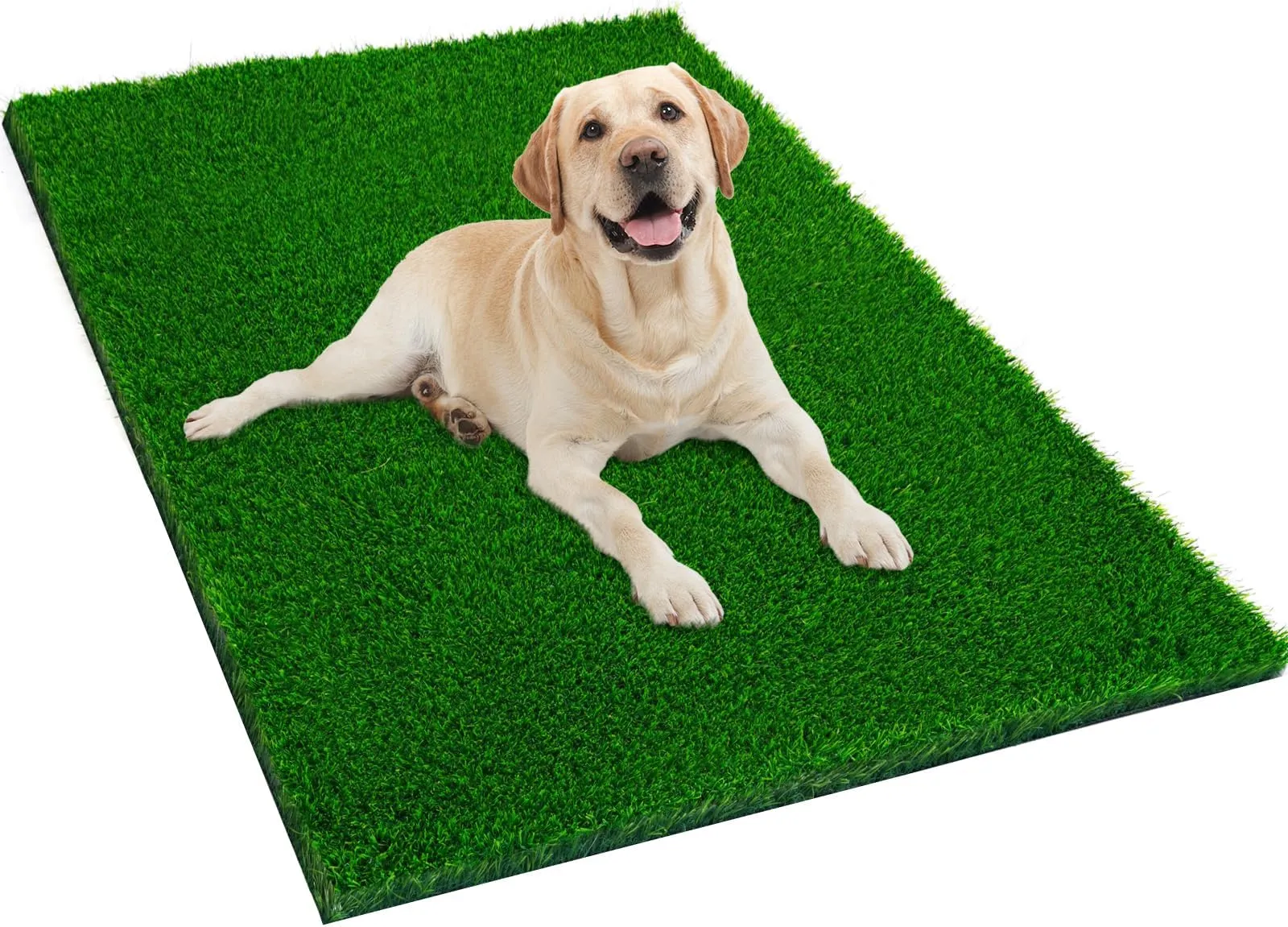 Dog Pee Grass Dog Grass Pad With Tray, Dog Grass Potty Litter Box