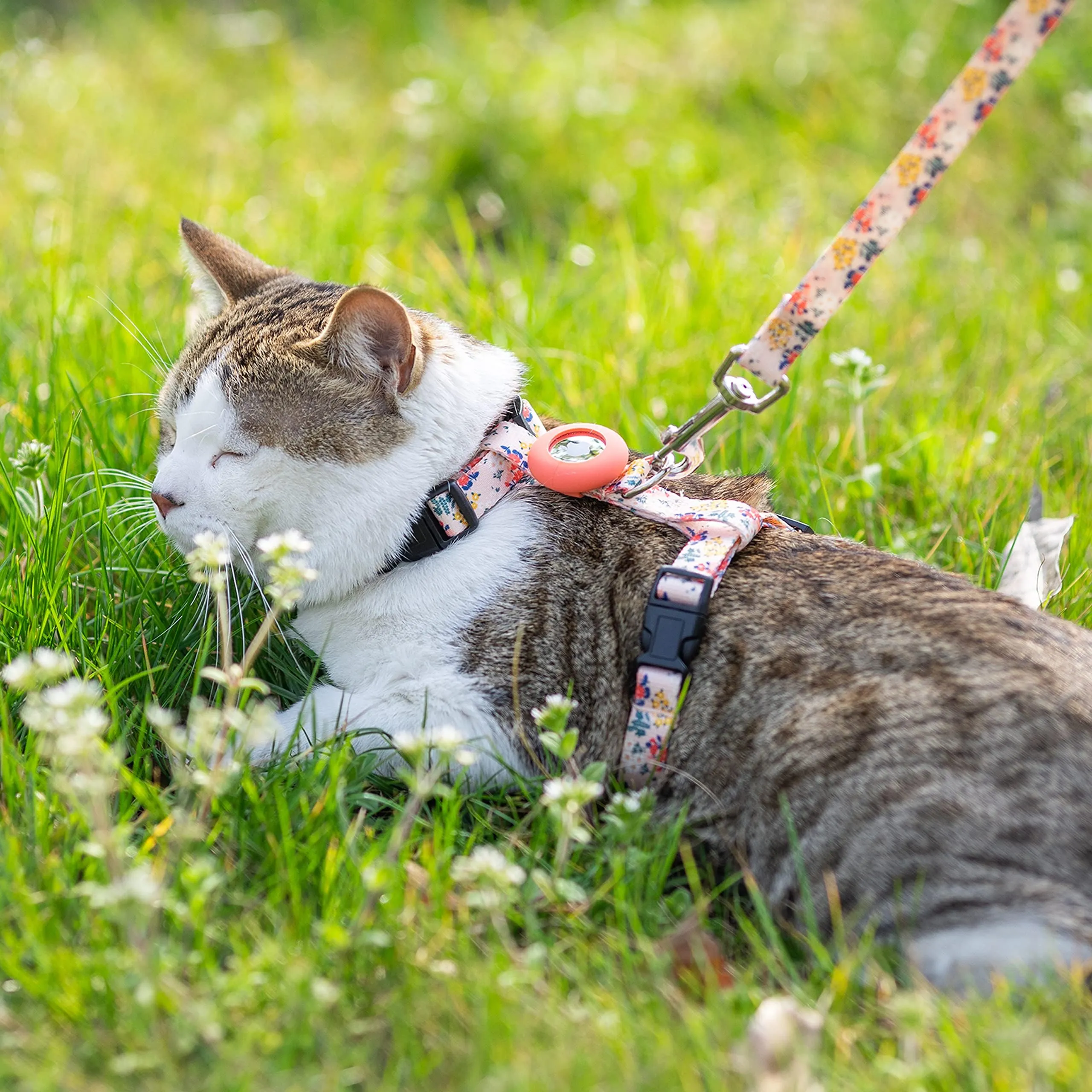 Rabbit Harness And Leash For Walking Escape Proof - Cute Mesh Breathable Bunny Vest Harness Outdoor Camping Hiking Training - Also Suit For Ferret Kittn Puppy Small Animals (Small