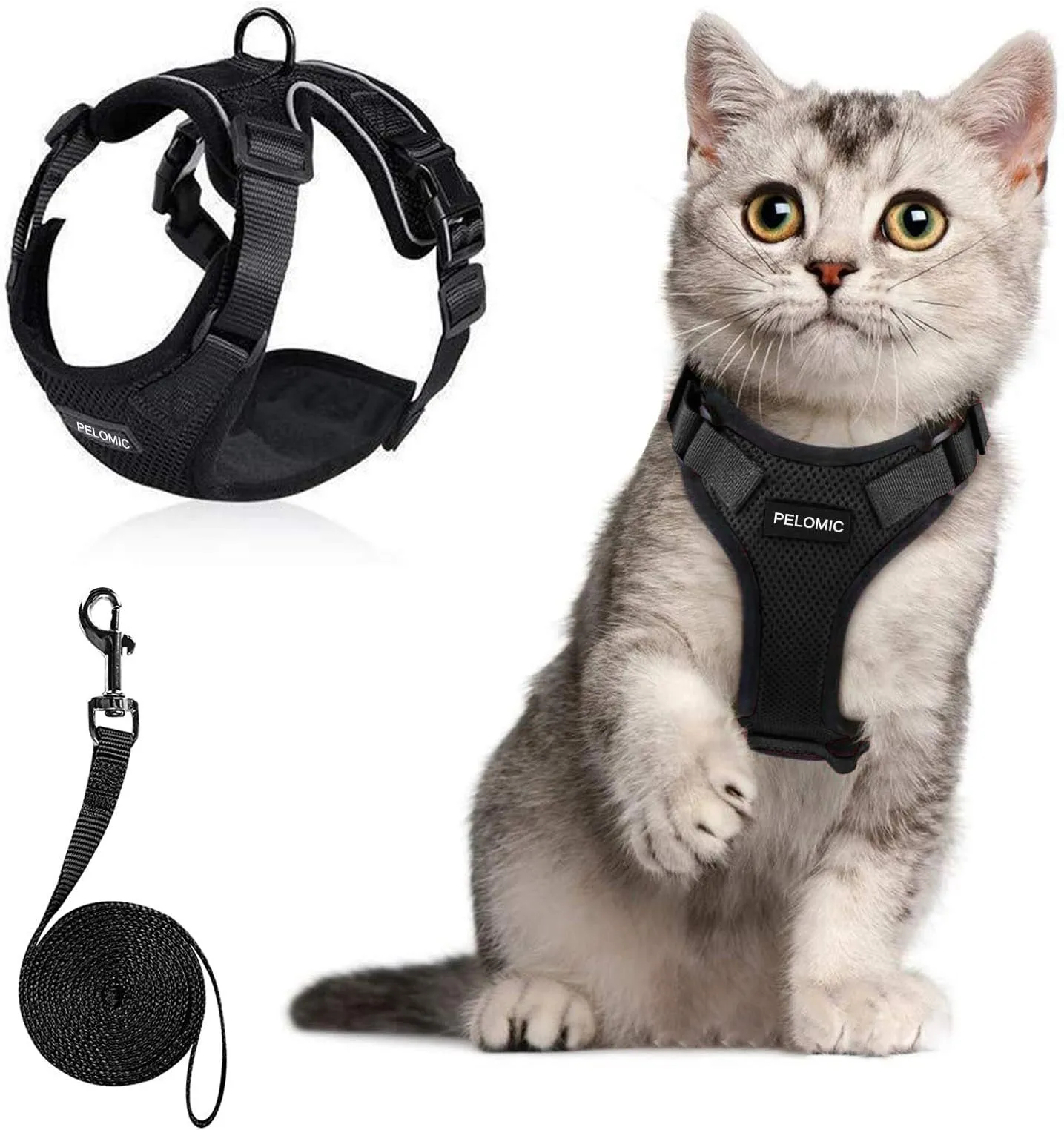 Beautiful view of Cat Leash Harness Outdoor Use Ventilation