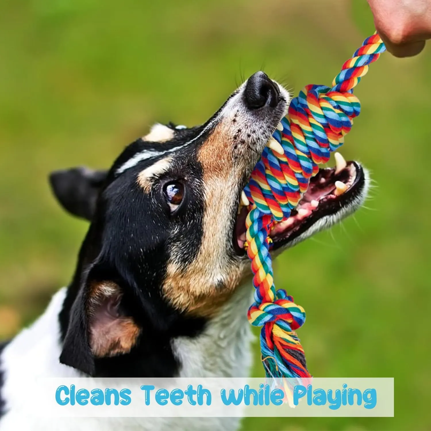 Puppy Rope Chew Toys - Pack Of 4 Knotted Dental Ropes For Small Dogs & Teething Puppies - View #8