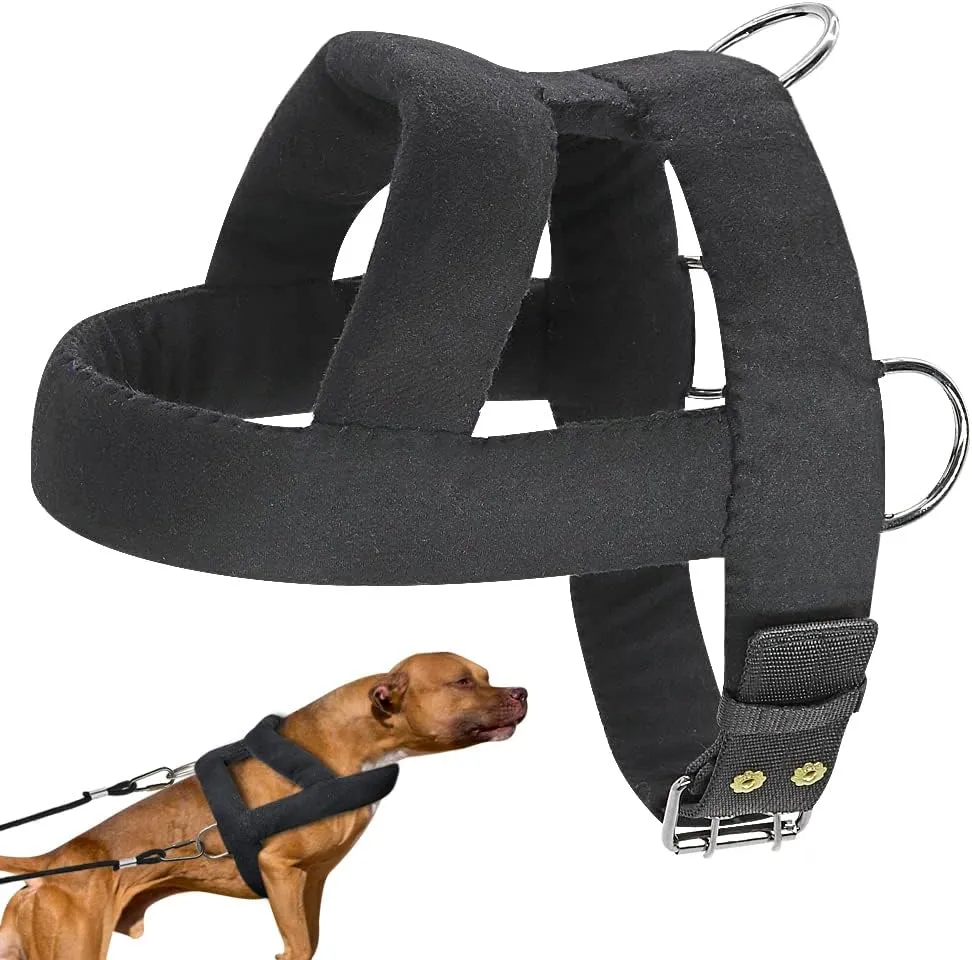 Save Big on Bulk Heavy Duty Dog Harness With Handle Forestpaw Tactical Dog  Harness (M) Heavy Duty Dog Vest Harness For Training Soft Padded, Metal 