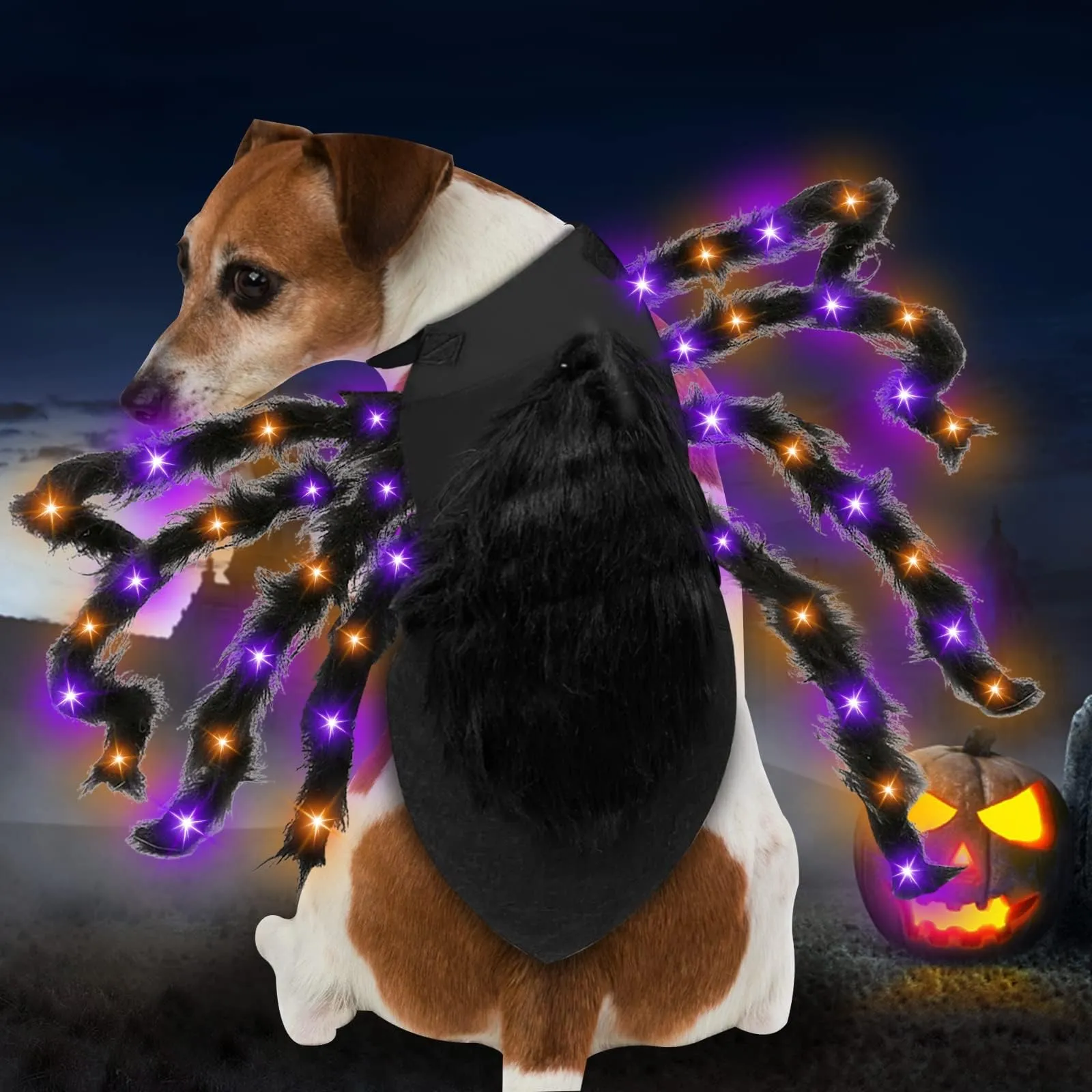 Dog Halloween Costume - Light Up Spider Outfit For Small & Medium Dogs | Funny Pet Costume With LED Lights