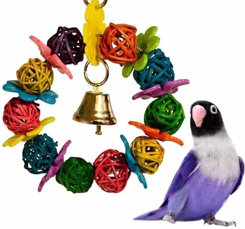 Colorful Daisy Ring Bird Toy for Small Birds - Parrotlets, Parakeets ... - Interactive Parrotlet Toys Reviews