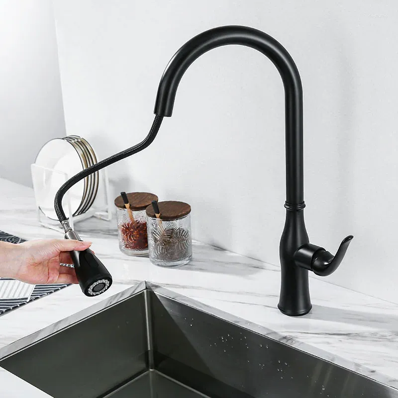 Kitchen Faucets Pull Out Faucet Black Stainless Steel Sink Cold Mixer Tap Double Water Setting
