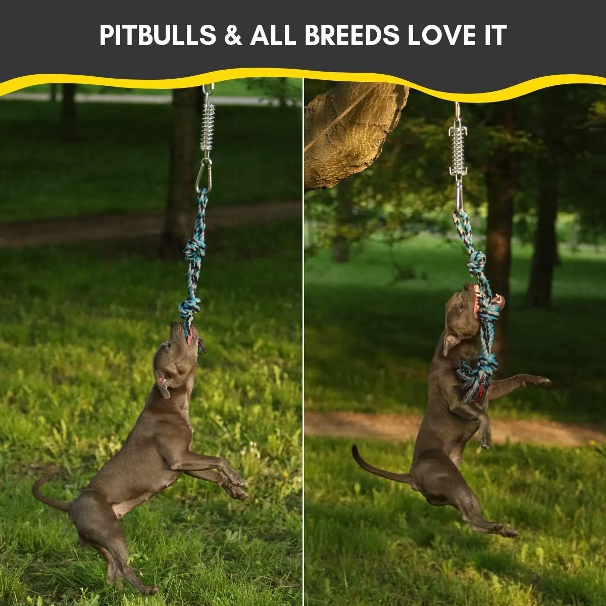 Dog Toy Pit Bull Homemade Flirt Pole For Dogs Pet Supplies Interactive  Flirt Pole Toy For