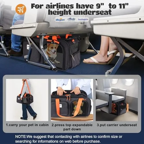 American Airlines Allegiant Pet In Cabin Allegiant Spirit Airlines