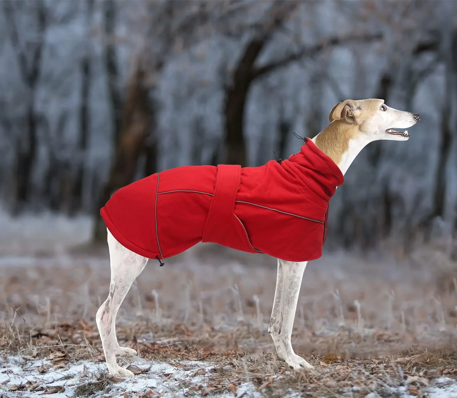 Dog Winter Coat with Harness Hole, Water Resistant Polyester