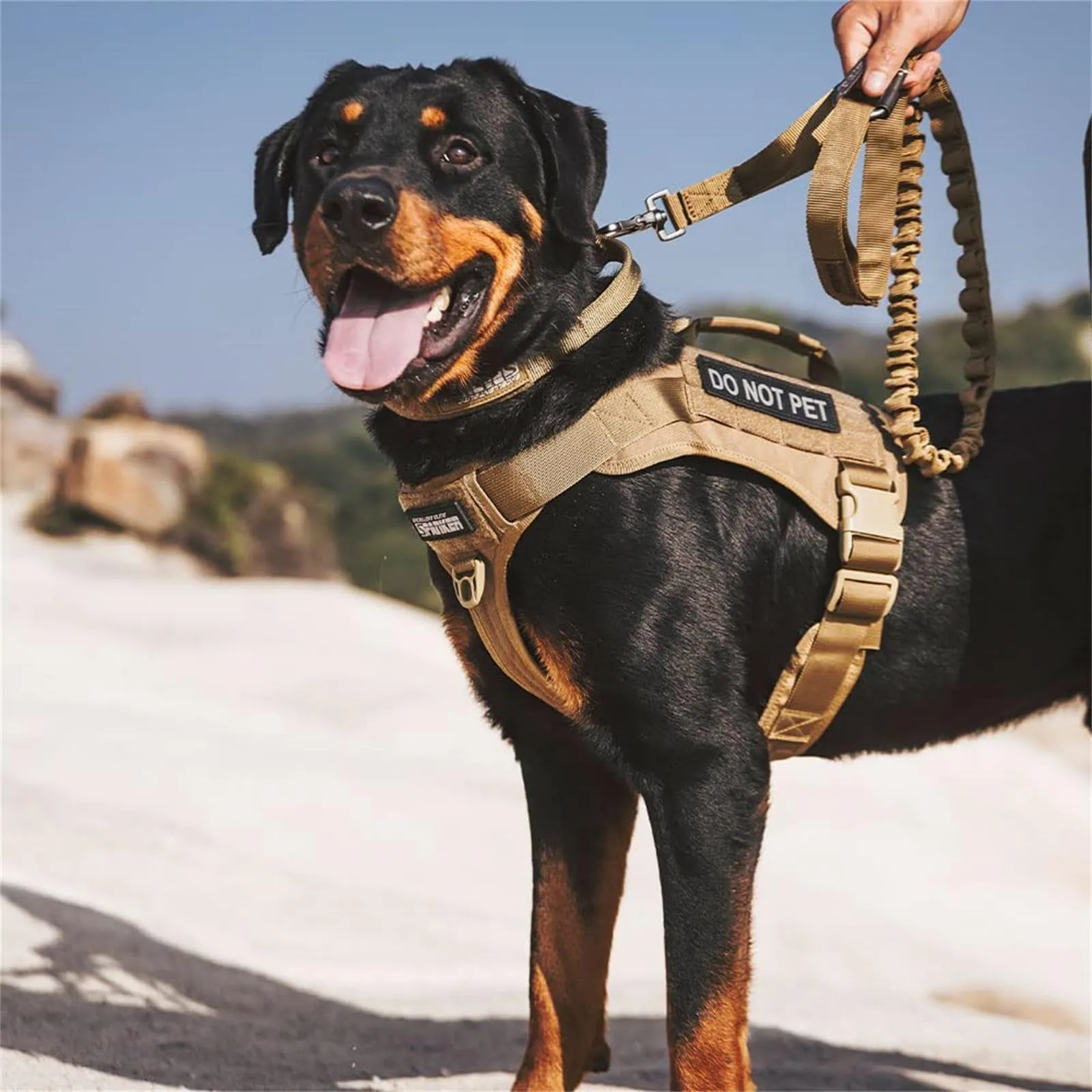 Rottweiler Tactical Vest Tactical Dog Vest Large Dog Training