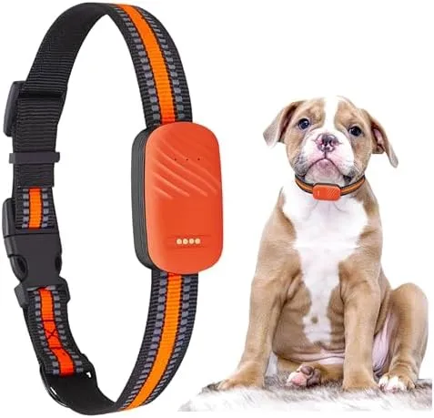 Tracking Device Gps Dog Collar For Small Dogs 4G Smart Pet GPS
