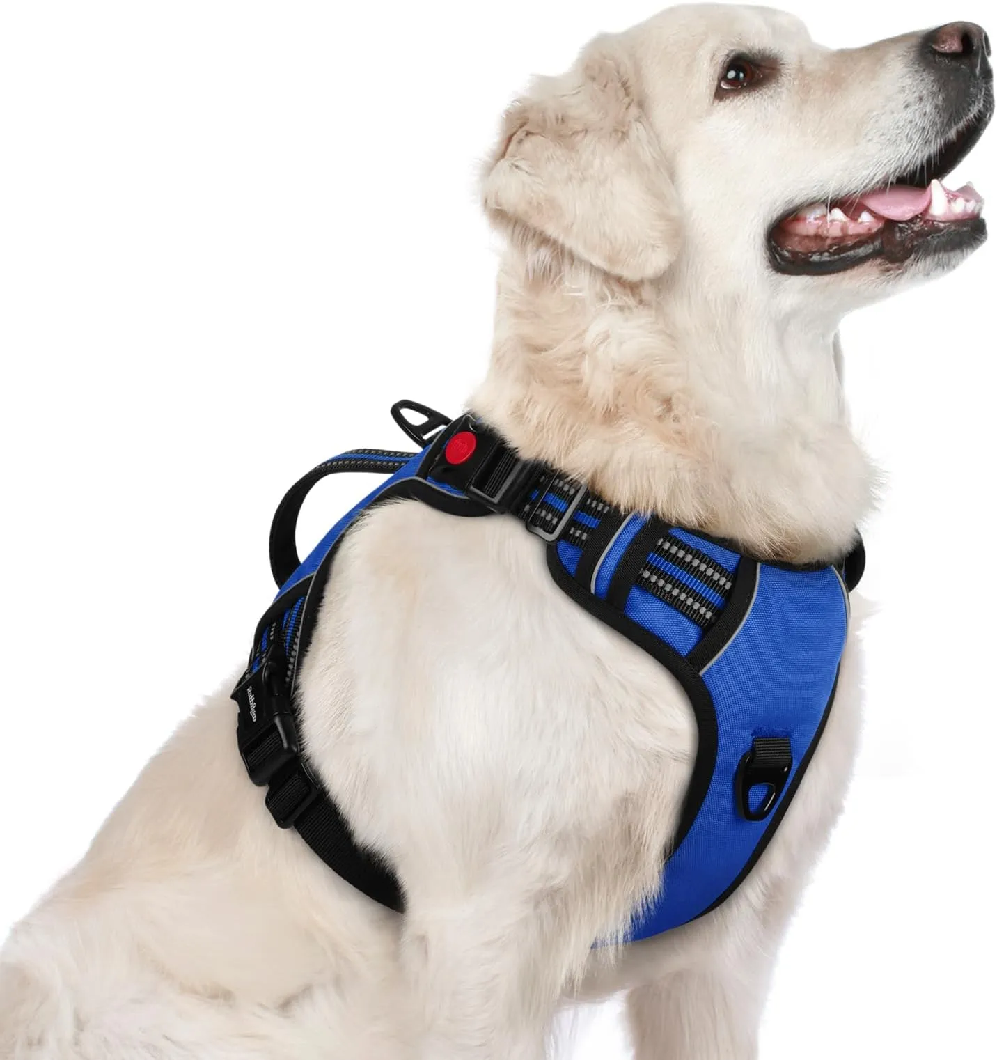 Adjustable Dog Harness Vest with Handle, No-Pull Design, Reflective  Padded Comfort, Medium Size