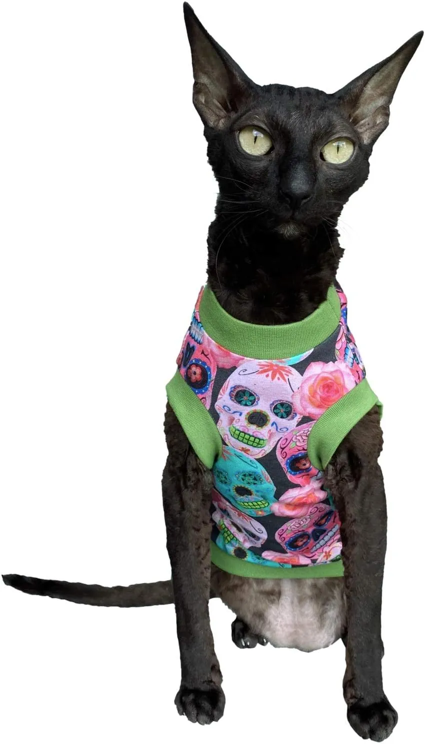 Hairless Cat Clothes for Mexican Cats: Kotomoda Cottontretch T-Shirt