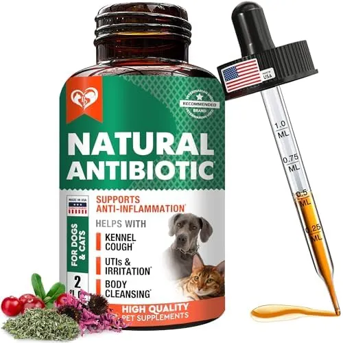 DHgate.com:Natural Herbal Antibiotics for Cats and Dogs